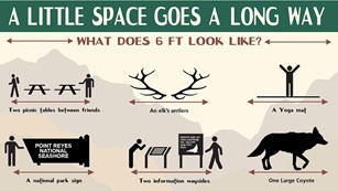 Infographic entitled A Little Space Goes a Long Way. What does 6 feet look like?