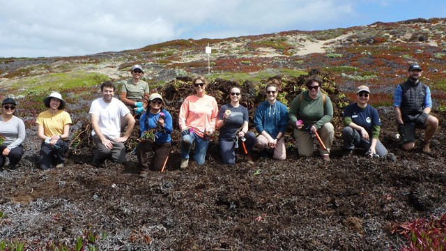 A group of 11 volunteers kneeling for a picture with a pile of removed invasive plant. 