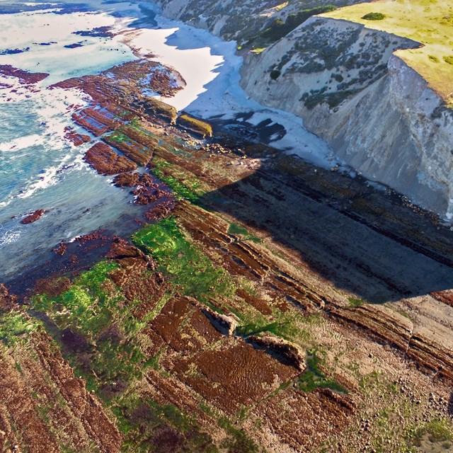 An aerial view of an exposed rock bed; green algae covers patches of the rock. 