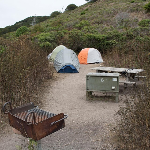 A campsite with three tents, a charcoal grill, picnic table, and food storage locker.