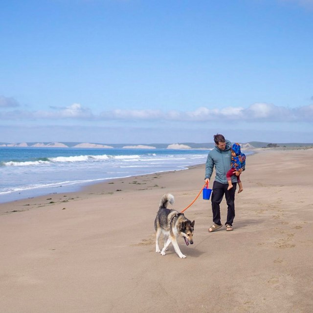 A man carrying a young child walks a dog on a sandy beach.