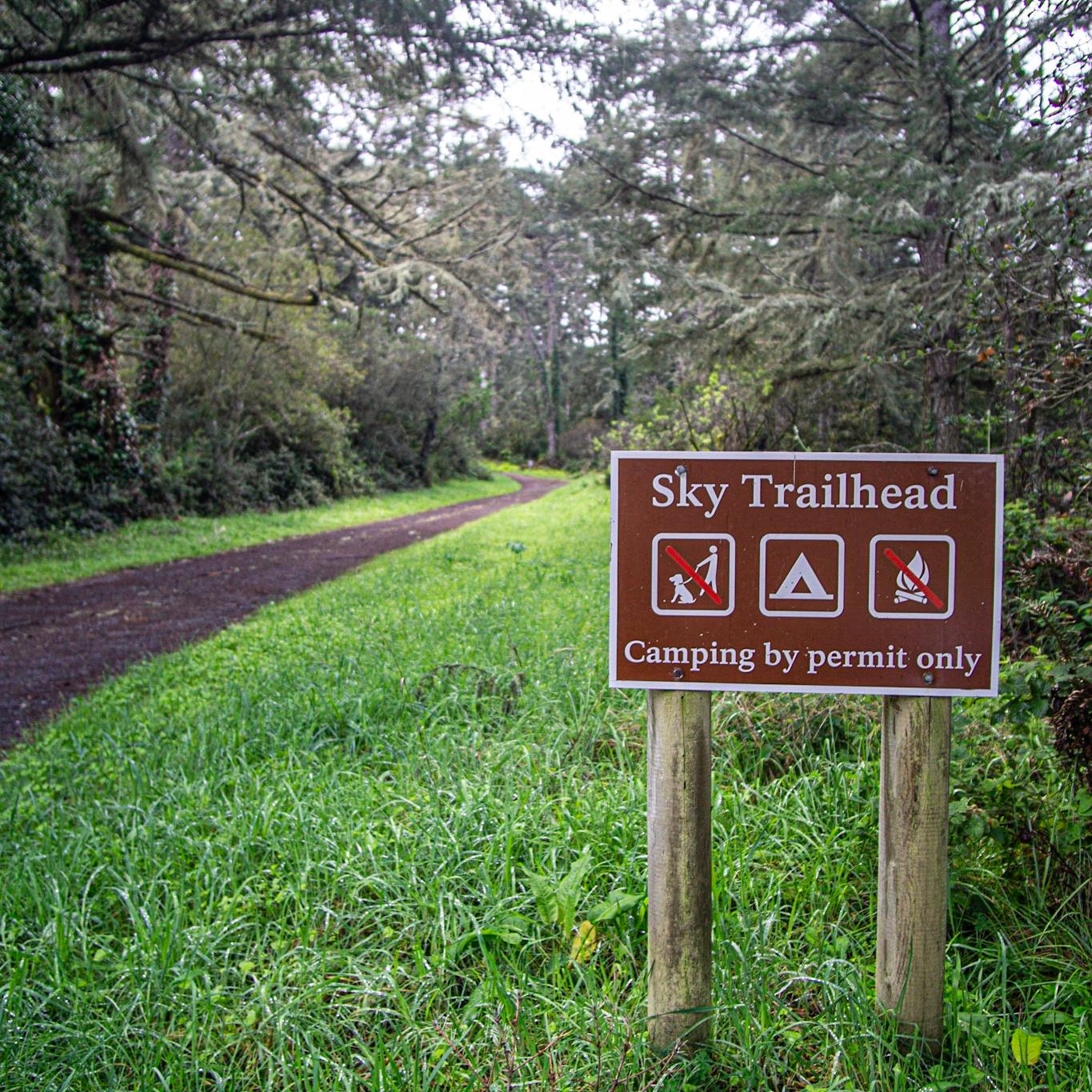 A metal trailhead sign to the right of a dirt path lined with lush grasses and shrubby trees