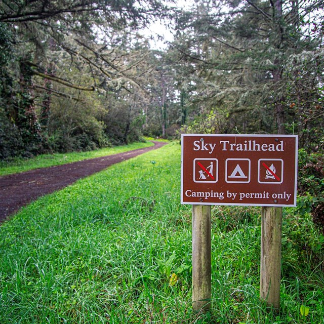 A metal trailhead sign to the right of a dirt path lined with lush grasses and shrubby trees