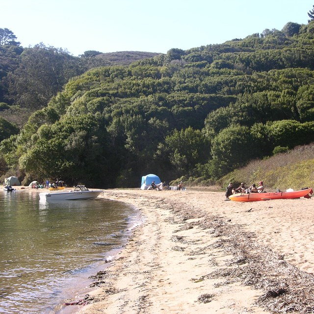 Three groups of campers with tents, kayaks, and a motor boat on a sandy, tree-lined beach.