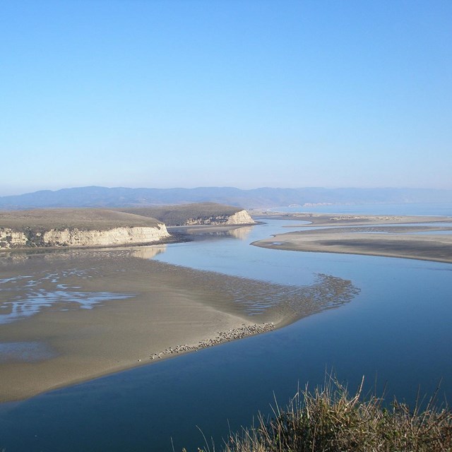 View of a shallow estuary with a large sandbar in the center, upon which harbor seals are resting.