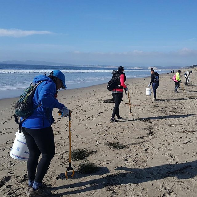 Under sunny skies, five people with trash grabbers pick up litter on a sandy beach.