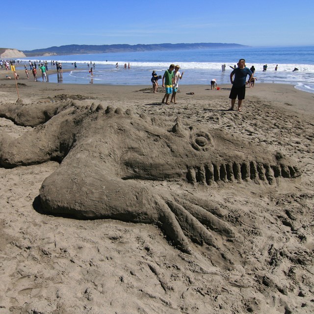 Giant dragon shaped from sand on Drakes Beach, which is packed with people in the background.