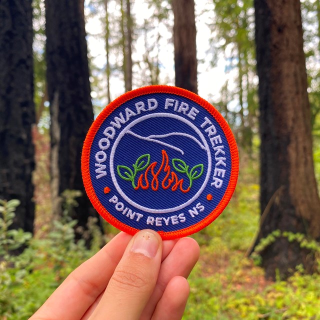 A hand holds up an orange and blue patch in front of blurry, semi burnt vegetation. 