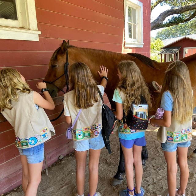Three children brush a brown horse while a park ranger looks on. 
