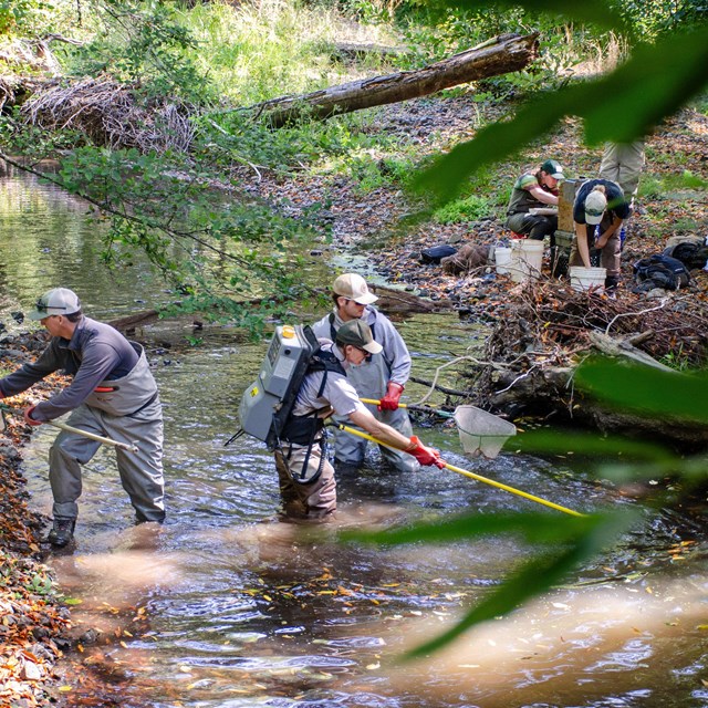 Several uniformed and non-uniformed people working in a creek.