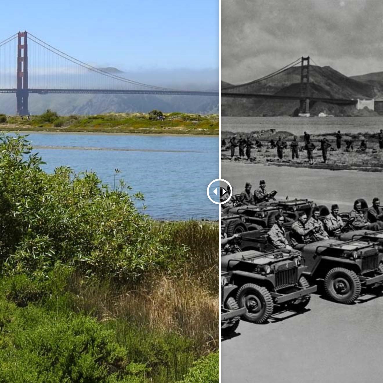 Old and New photo of crissy field side by side