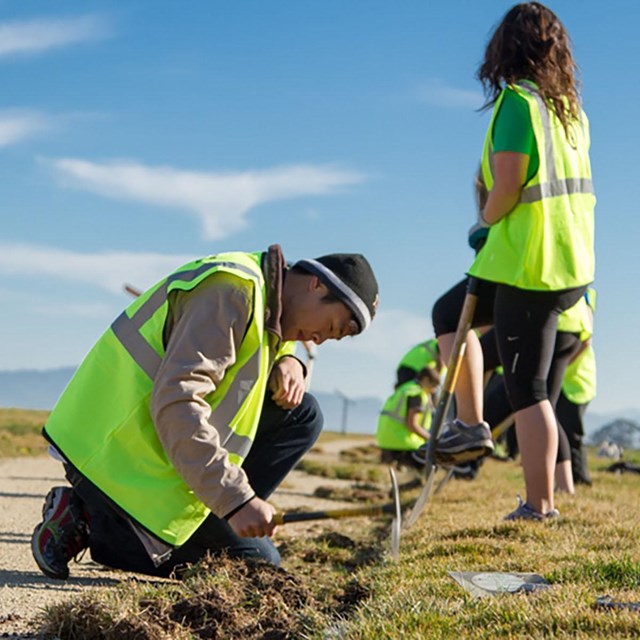 volunteers digging holes