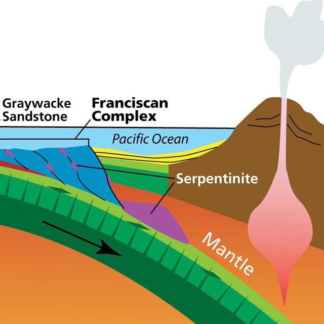 Graphic cross-section of mantle and sea floor subducting under the Pacific Coast