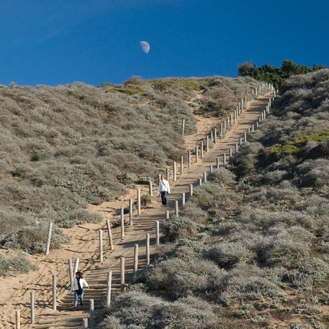 people walk down sandy stairs at waning, moon rise