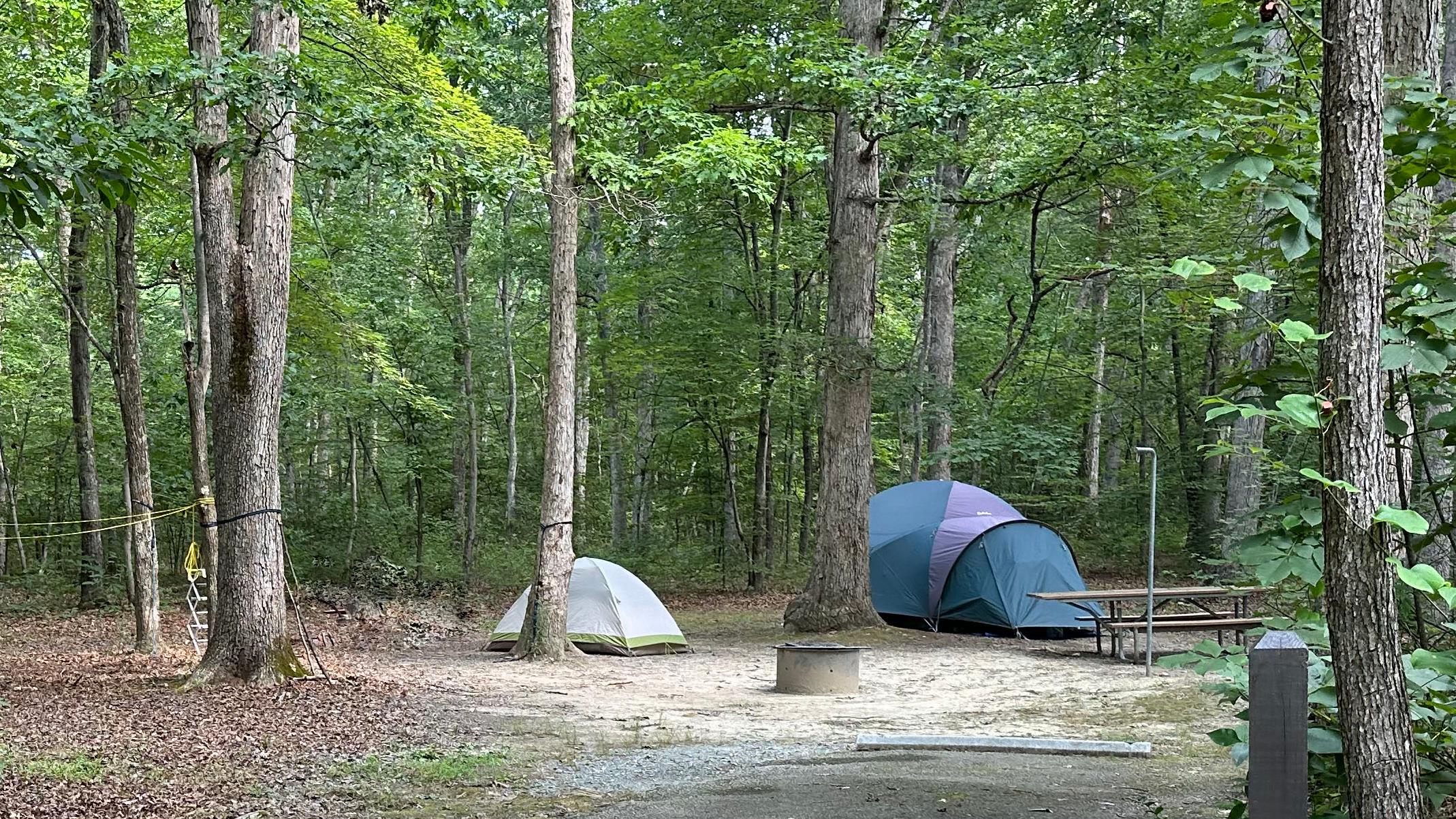 Two tents, a fire ring, a picnic table, and a lantern hook are shaded by green trees in a forest