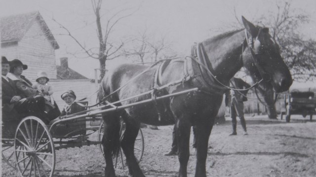 Black and white photo of the Taylor Family being pulled by a horse carriage in front of their house