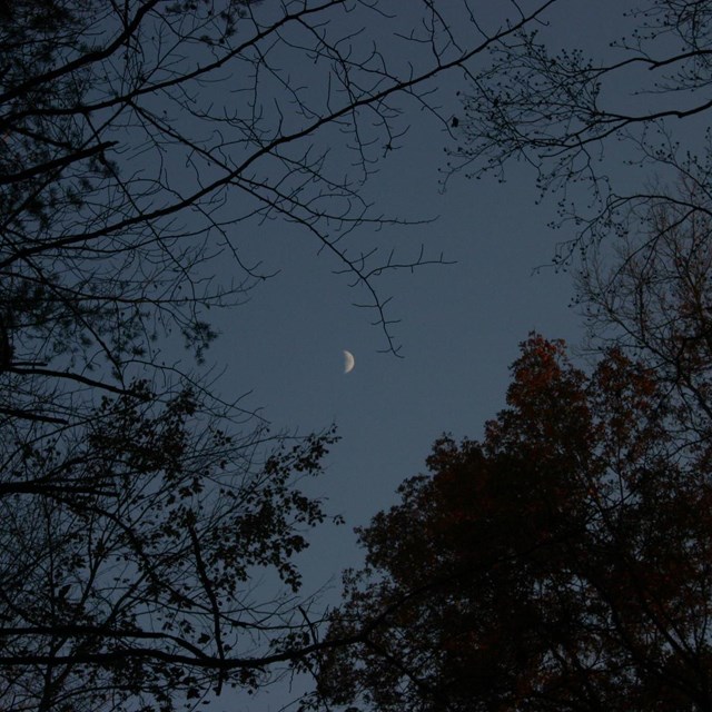A dark winter sky with a bright crescent moon