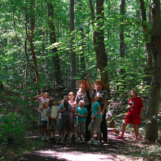 Park rangers giving a program to young visitors 