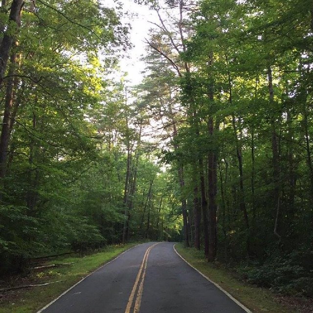 Scenic Drive in summer 