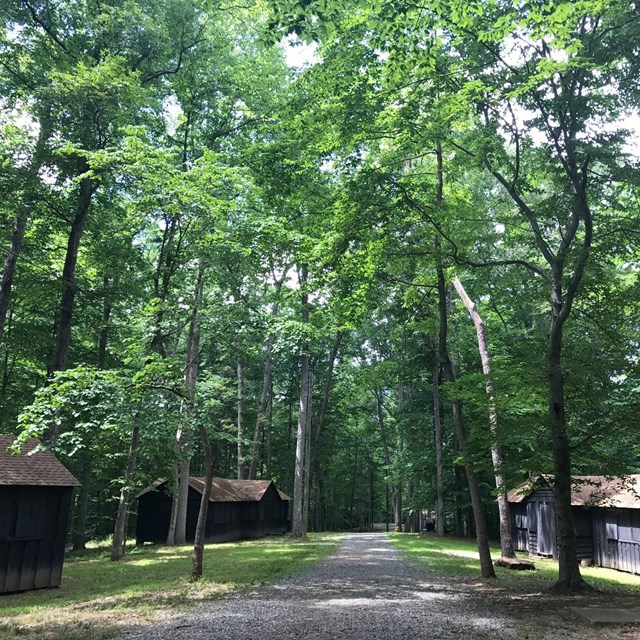 Individuals cabins surrounding a path at Cabin Camp 3