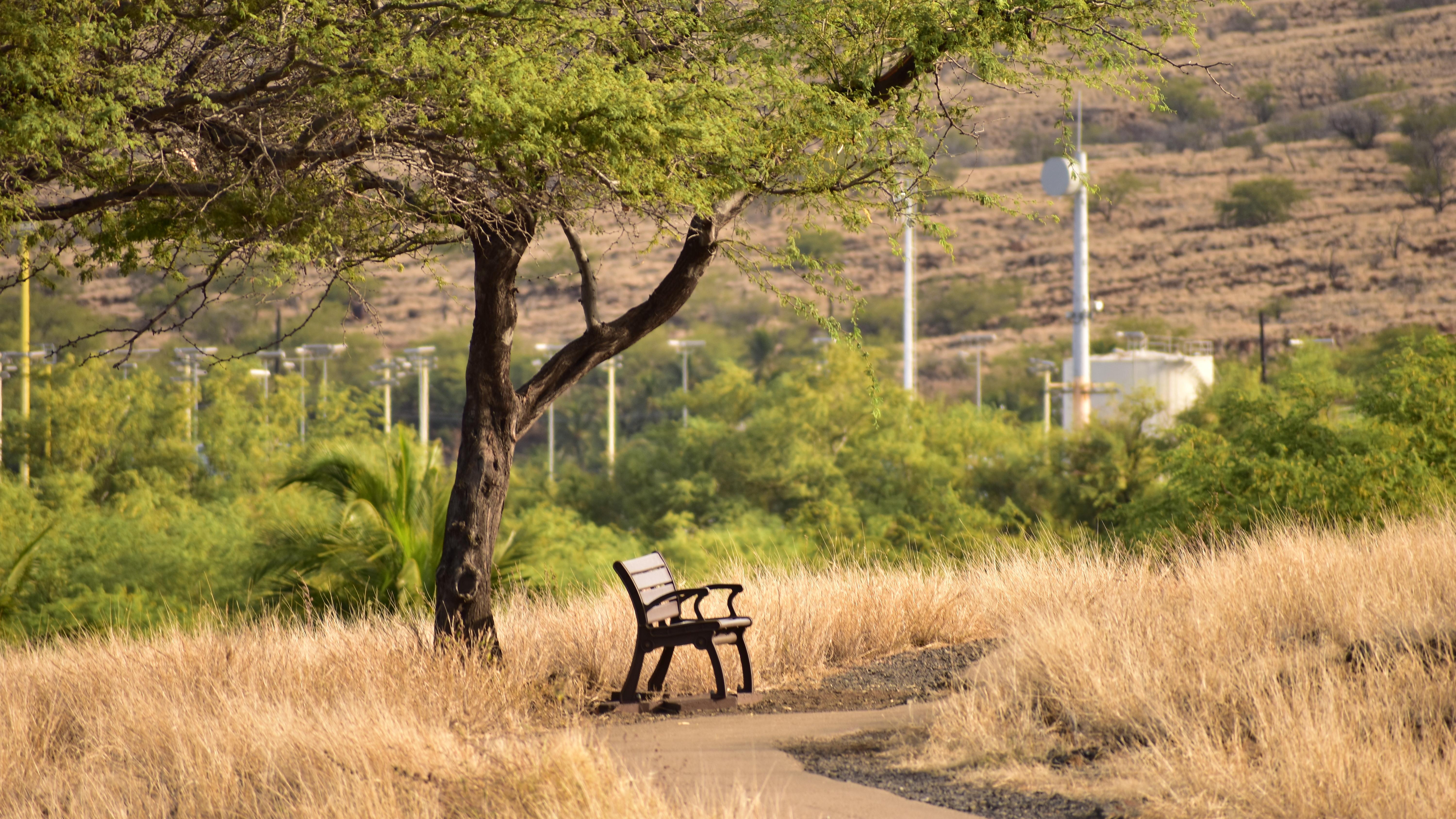Bench next to walking trail