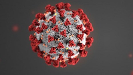 Microscopic view of COVID-19 Virus