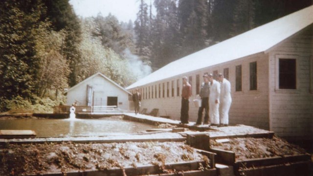 Historic image of several men standing by an artificial pond next to a wood building