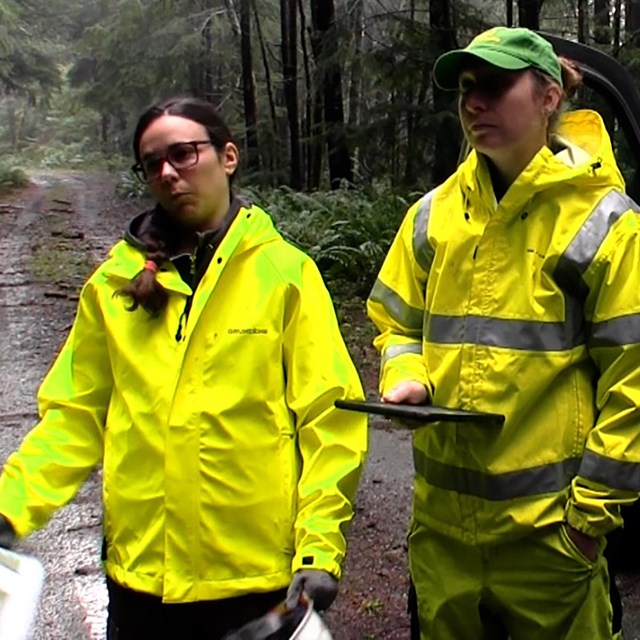 Two women in high-viz clothes stand next to their truck in a rainy forest