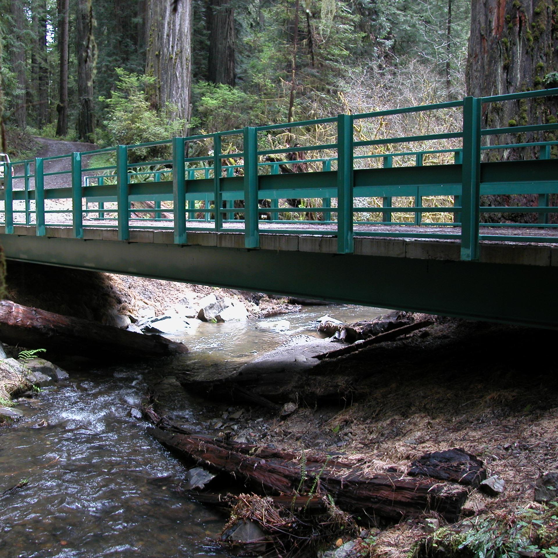  Healthy riparian habitats are important for forests, people and fish.