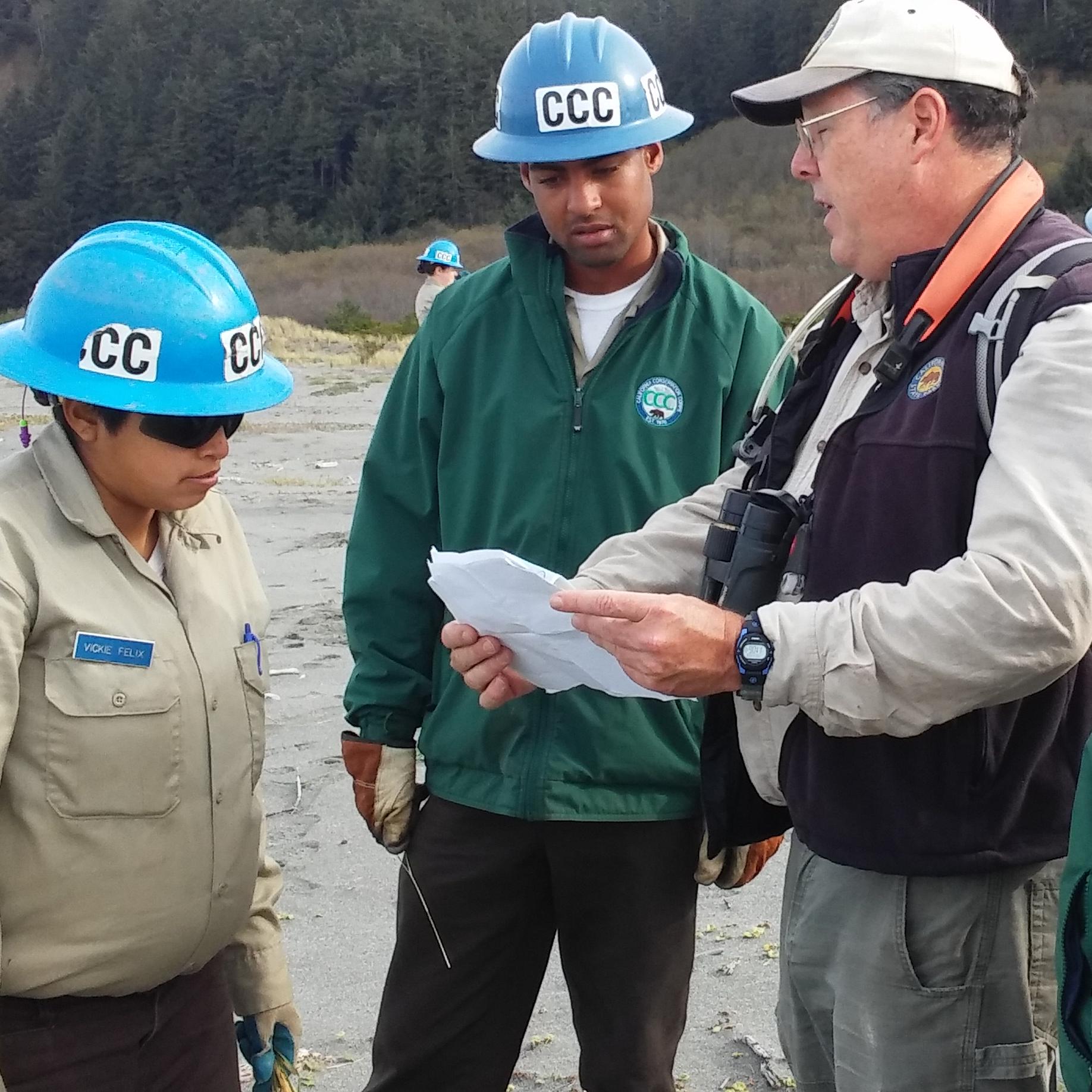 CCC crews remove invasive plants grom Gold Bluffs Beach