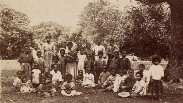 A group of children standing under a live oak tree.