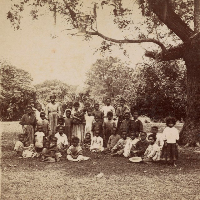 A group of children standing under a live oak tree.