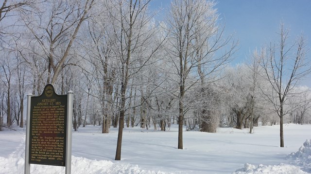 Park in the Winter