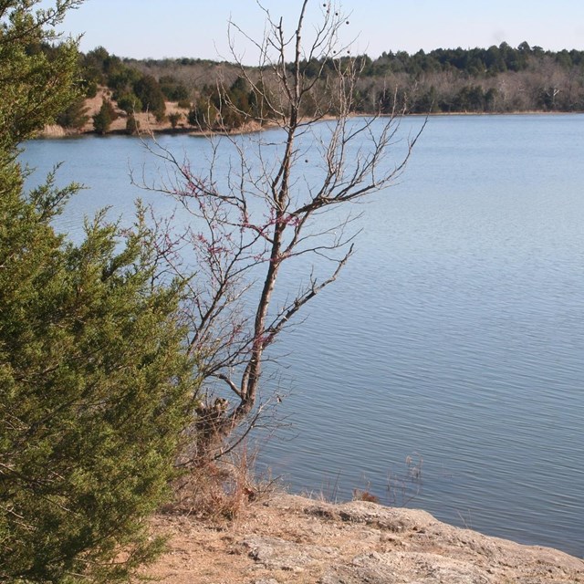  Veteran's Lake in the early spring.