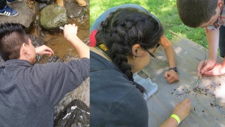 Students conducting experiments in Rock Creek