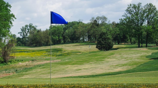 a putter and golf ball on bright green grass