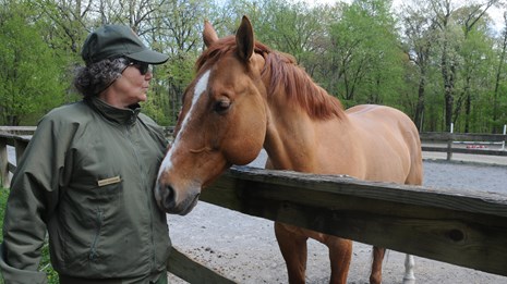 An image of Ranger Maggie being nuzzled by a large horse at the Horse Center. 