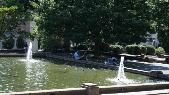 people sitting outside admiring and ducks swimming in the reflecting pool