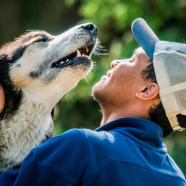 a smiling man in a ballcap pets a husky