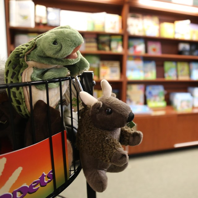 An image of finger puppets in our bookstore. 