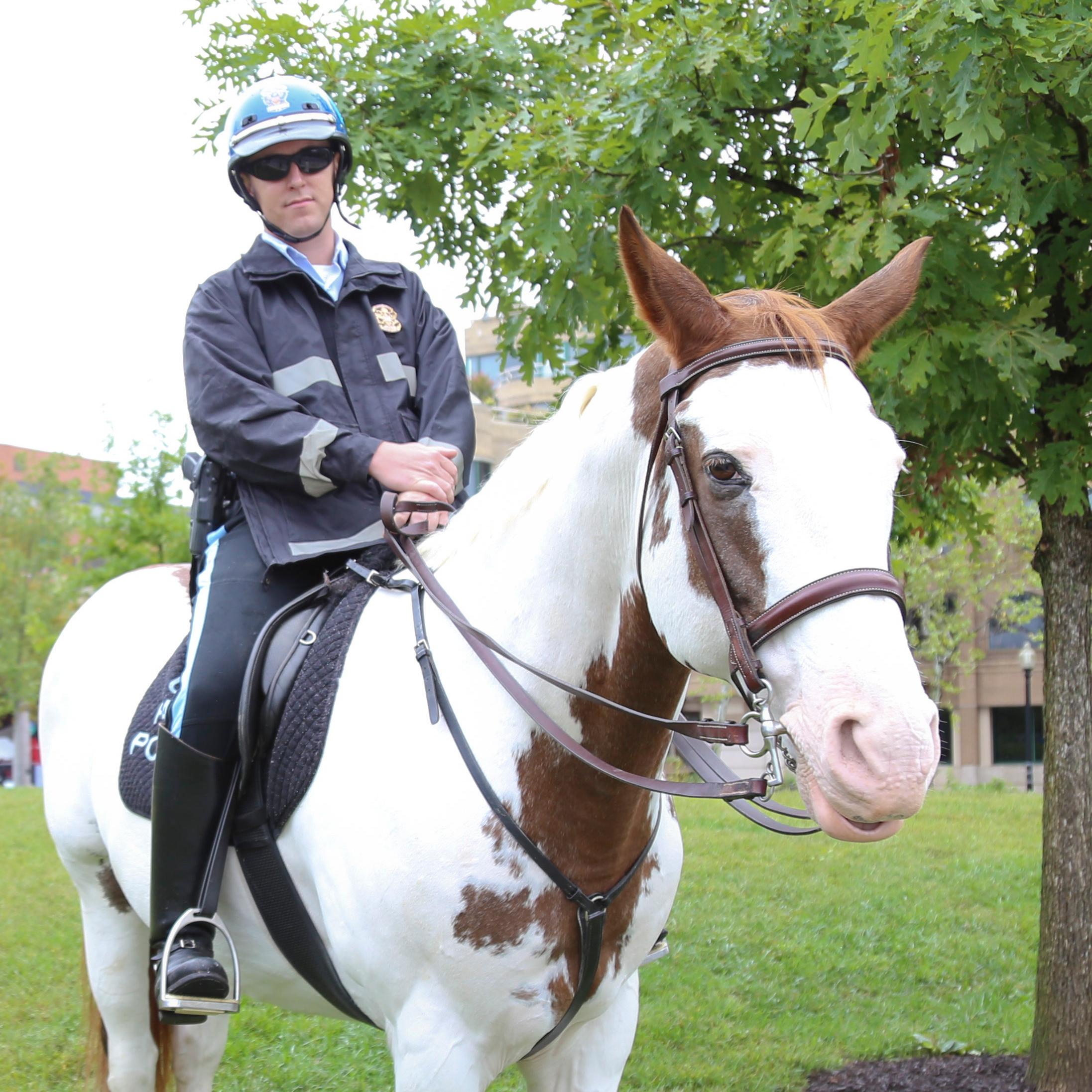 A park police officer sits on a horse at Rock Creek Park Day. 