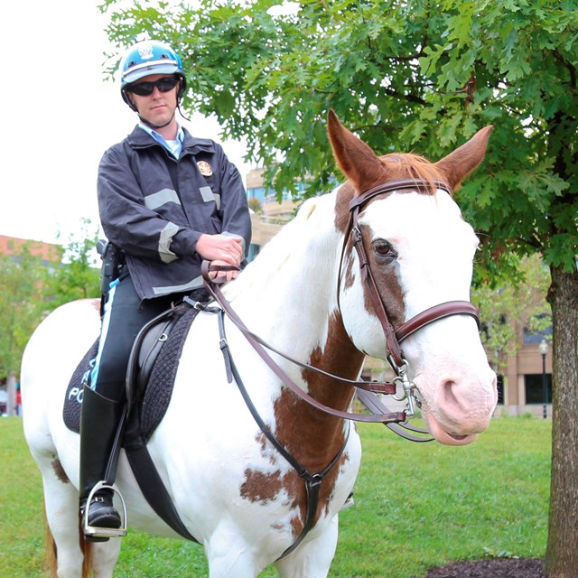 A park police officer sits on a horse at Rock Creek Park Day. 