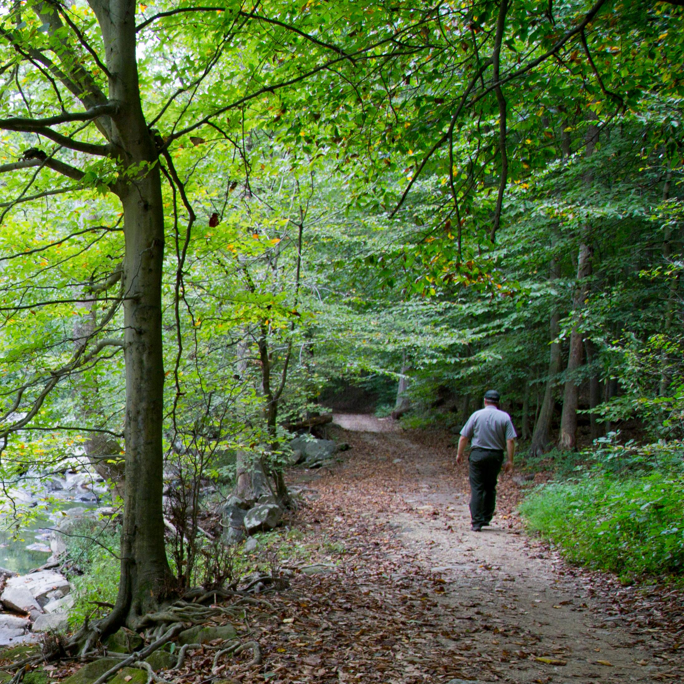 An image of a ranger hiking next to Rock Creek. 
