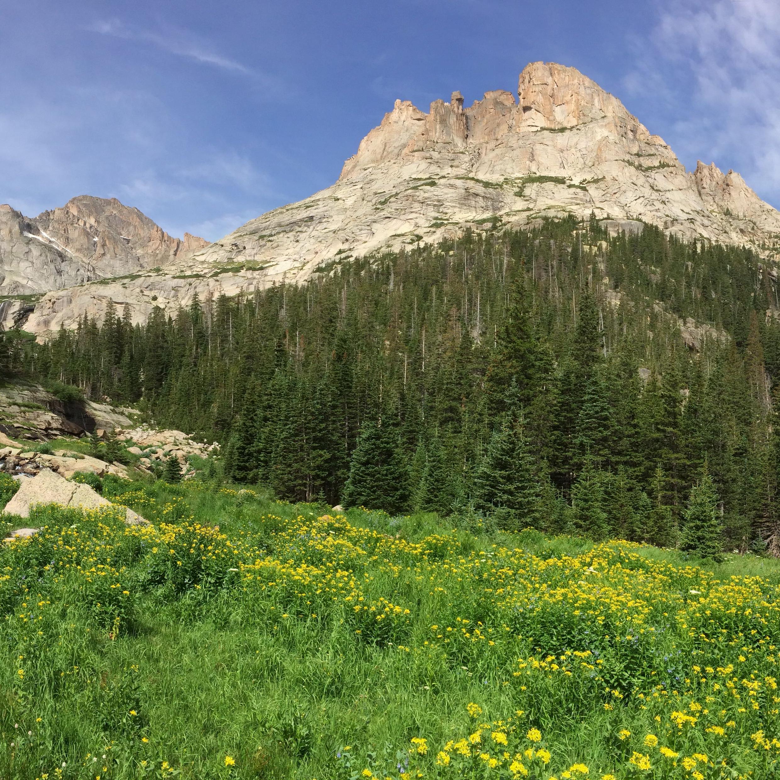 Rocky Mountains Cooperative Ecosystems Studies Unit