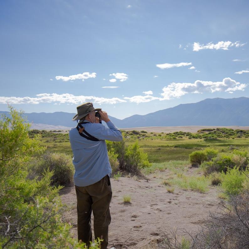 Birding in Great Sand Dunes National Park.