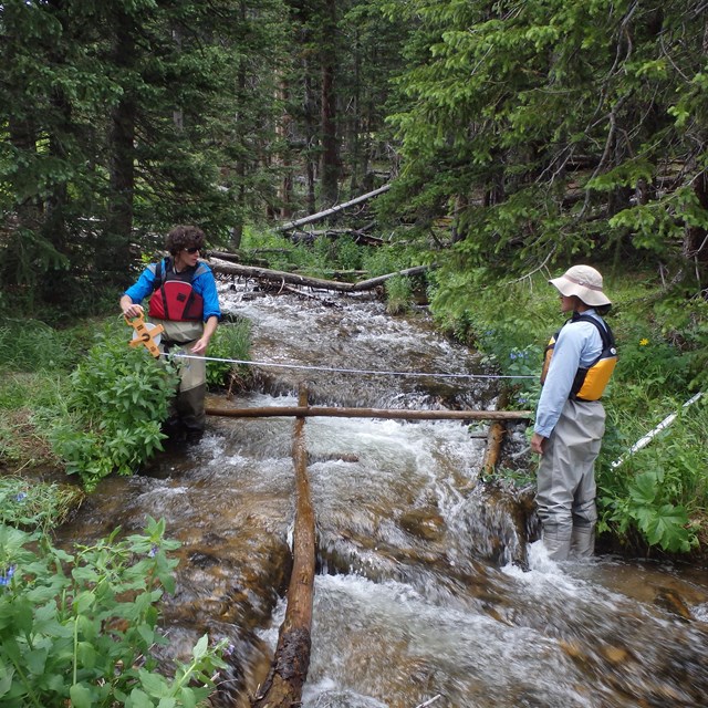 Stream Ecological Integrity monitoring in Rocky Mountain NP.