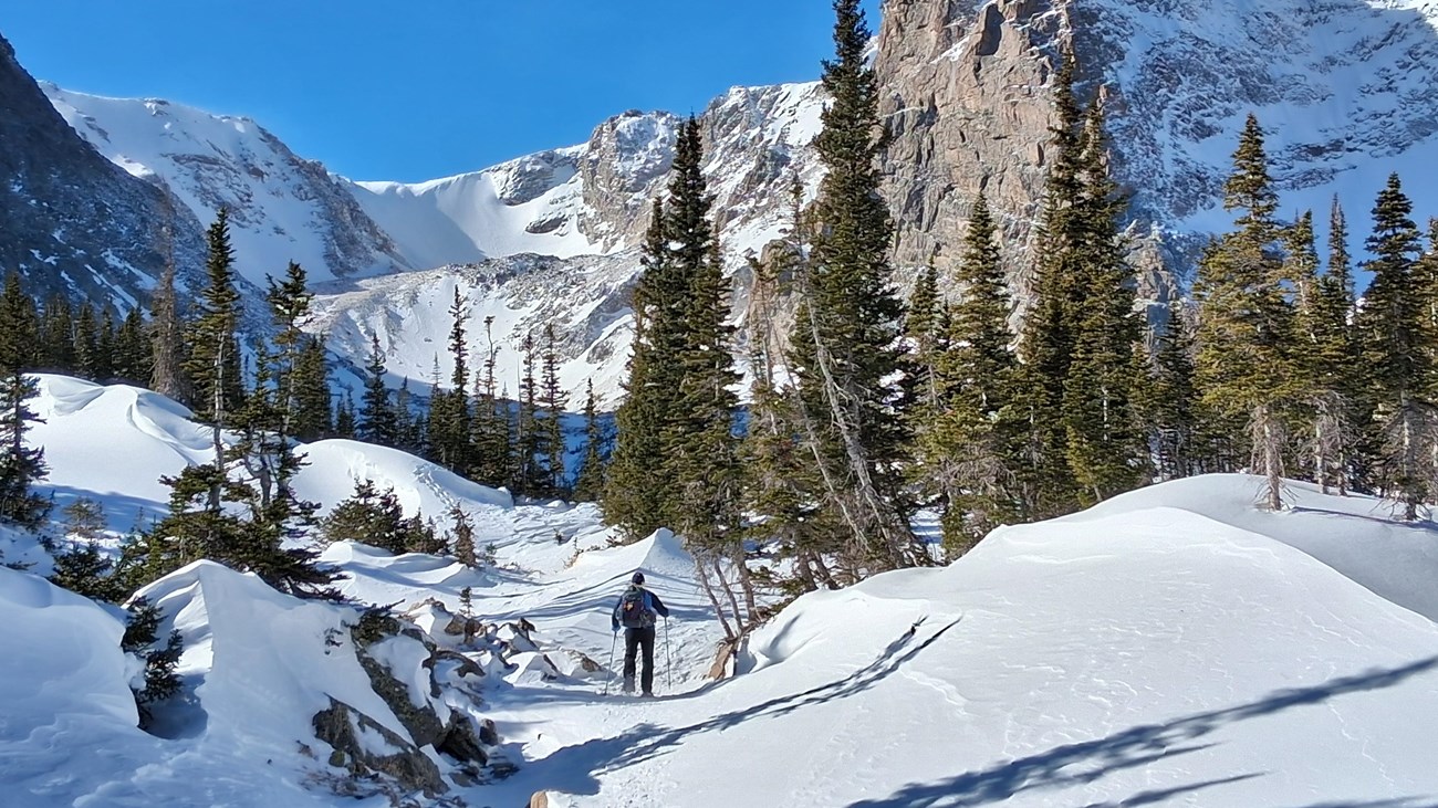 A person is hiking with snowshoes in winter