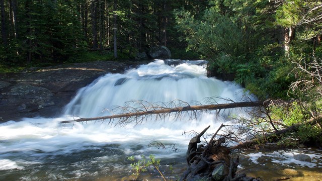 Waterfalls and cascades can be found in the forests or running down rocky cliff faces.