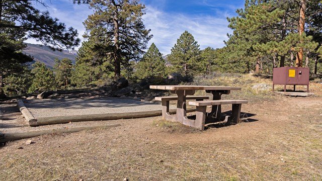 Standard non-electric site with a tent pad, picnic table, and food storage box 