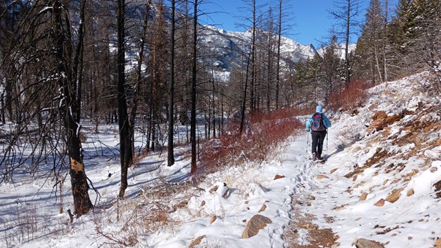 A person is hiking on a snow-covered trail on a sunny, winter day